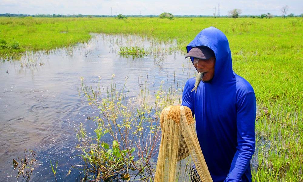 La Mojana, Caregato, dique, inundación, río Cauca, río San Jorge, Córdoba, Sucre, Bolívar, agua, Colombia, tragedia, UNGRD